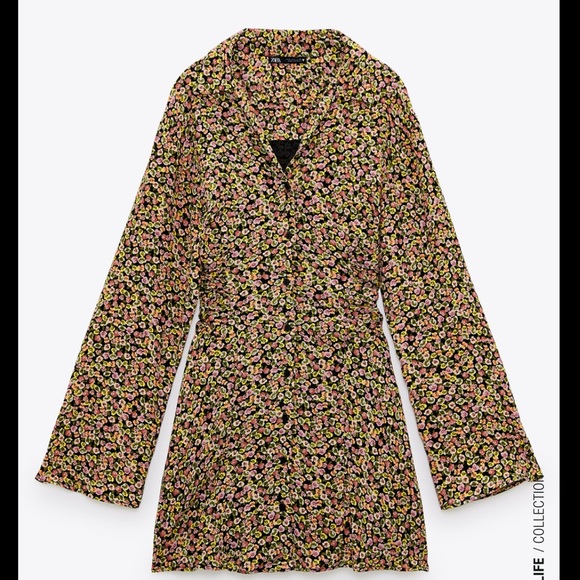 Zara Print Dress - Picture 2 of 9